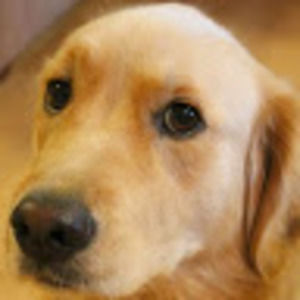 Meet your Posher, Kyra